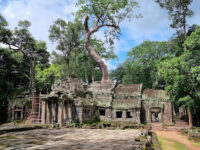 Ta Prohm Temple Travel Forum Reviews