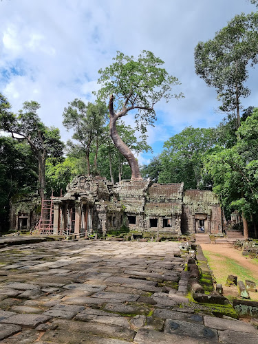Ta Prohm Temple
