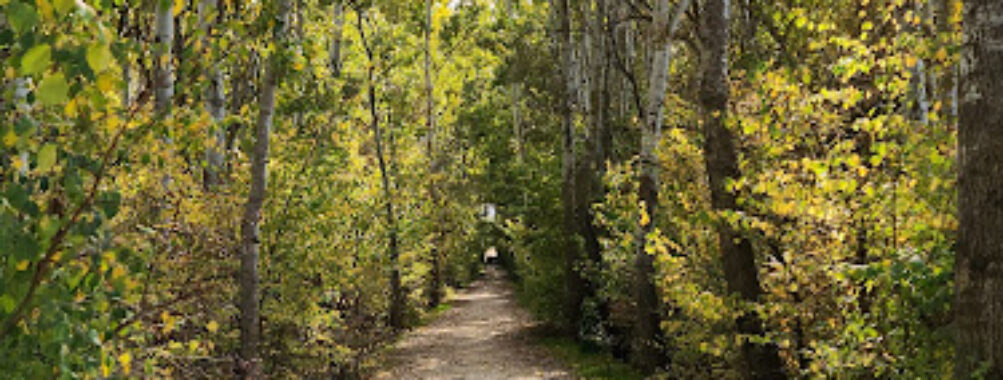 Taanayel Park Travel Forum Reviews