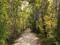 Taanayel Park Travel Forum Reviews