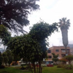 Tabaco Park