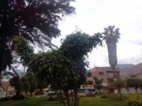 Tabaco Park Travel Forum Reviews