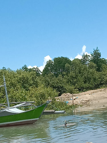 Tabyog Mangrove Park