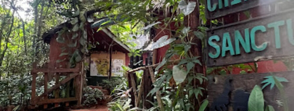 Tacugama Chimpanzee Sanctuary Travel Forum Reviews