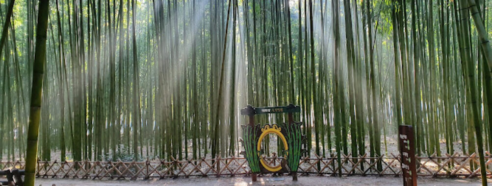 Taehwagang National Garden Travel Forum Reviews