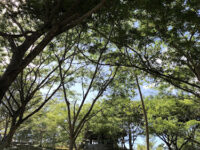 Tagumpay Natures Park Travel Forum Reviews