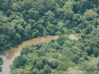 Taï National Park Travel Forum Reviews