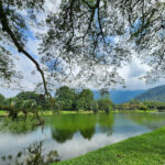 Taiping Lake Gardens