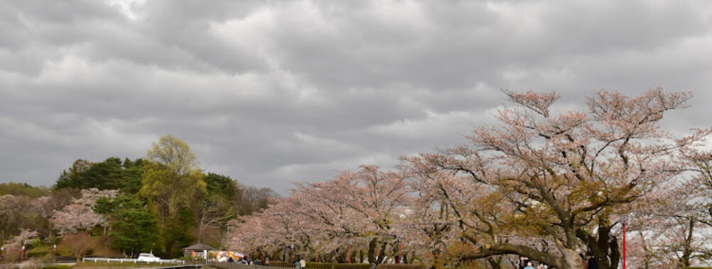 Takamatsu Park Travel Forum Reviews