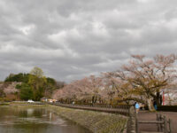 Takamatsu Park Travel Forum Reviews