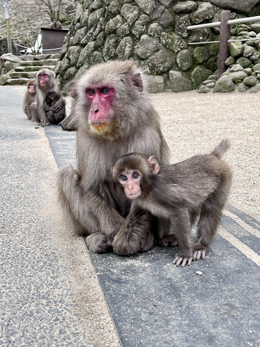 Takasakiyama Natural Zoological Garden