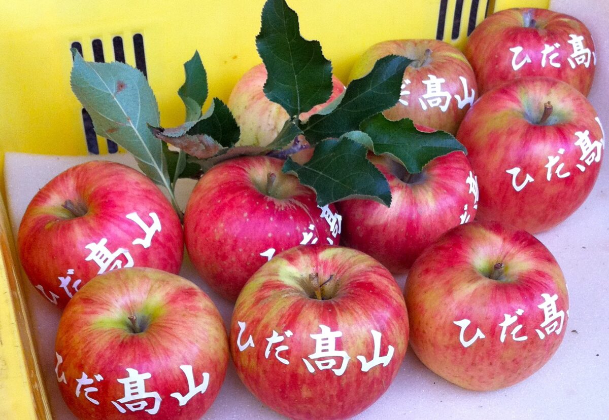 Takayama old town walking tour with local guide Review