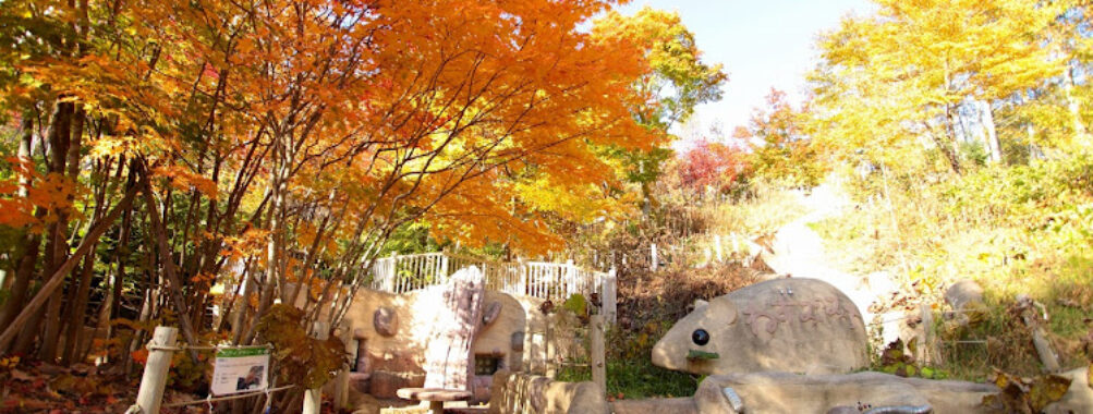Takino Suzuran Hillside Park Travel Forum Reviews