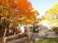 Takino Suzuran Hillside Park Travel Forum Reviews
