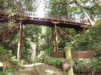 Takiyama Castle Ruins Travel Forum Reviews