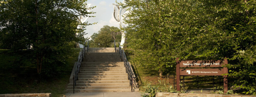 Takoma-Piney Branch Park Travel Forum Reviews