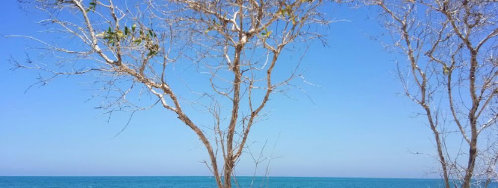 Talo Kapo Travel Forum Reviews