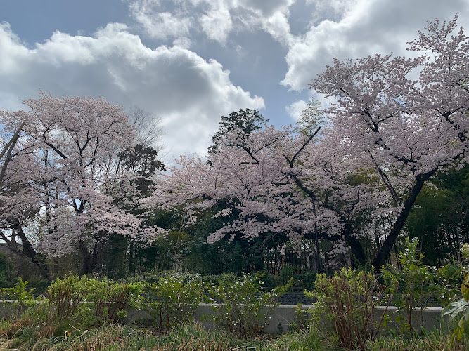 Tamagawa Aqueduct