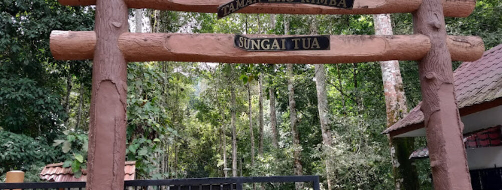 Taman Eko Rimba, Sungai Tua Travel Forum Reviews