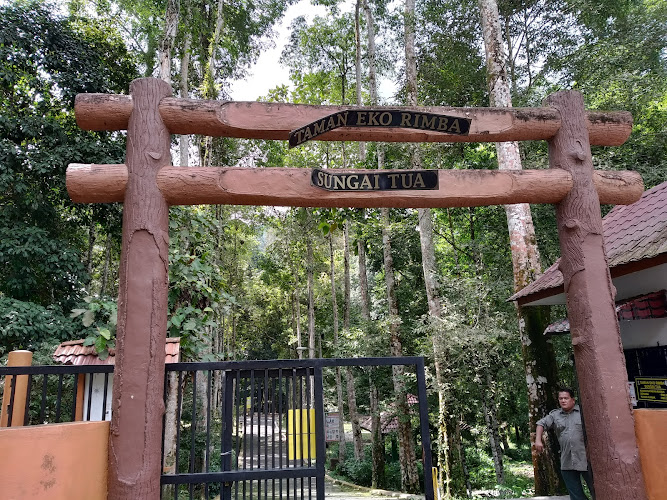 Taman Eko Rimba, Sungai Tua