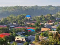 Tambopata Hostel Travel Forum Reviews