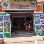 Tambopata Rainforest Tours
