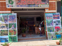 Tambopata Rainforest Tours Travel Forum Reviews