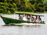 Tambopata tours - Puerto Maldonado - Peru Travel Forum Reviews