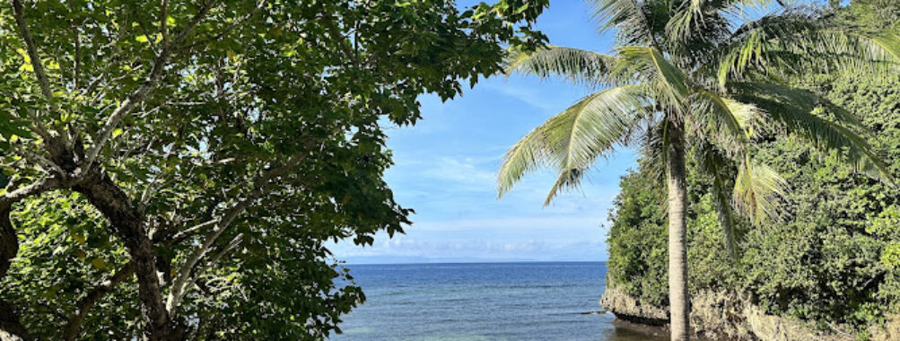 Tampad Beach aka Talisoy Beach Travel Forum Reviews