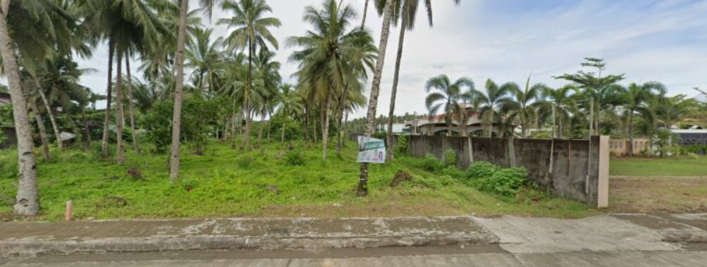 Tandag City Memorial Garden Travel Forum Reviews