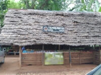 Tangawizi Spice Farm Travel Forum Reviews