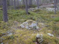 Tångbergets Naturreservat Travel Forum Reviews