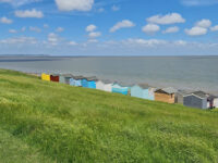 Tankerton Slopes Travel Forum Reviews