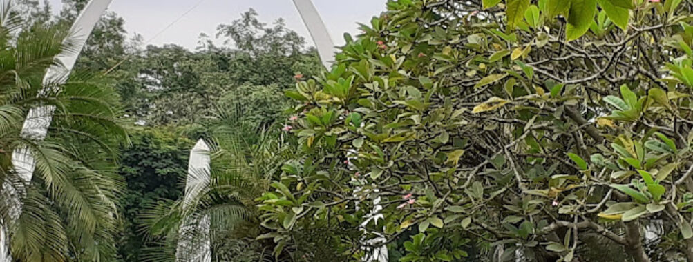 Tanuku Sugars Park Travel Forum Reviews
