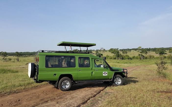 Tanzania Serengeti Adventure Ltd