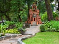 Tao Dan Park Travel Forum Reviews