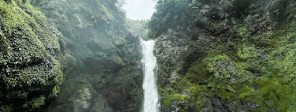 Tappiya Falls Trail Travel Forum Reviews