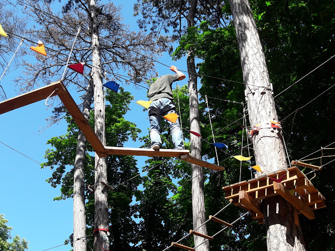 Tarzan - rope park