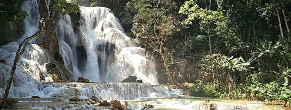 Tat Kuang Si Bear Rescue Centre, Free the Bears Travel Forum Reviews