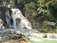 Tat Kuang Si Bear Rescue Centre, Free the Bears Travel Forum Reviews