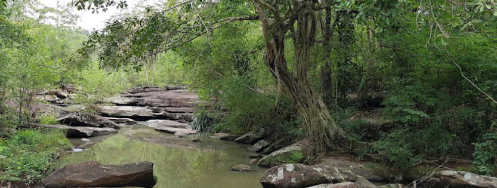 Tat Thong Waterfall Travel Forum Reviews