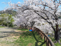 Tateyama Park Travel Forum Reviews