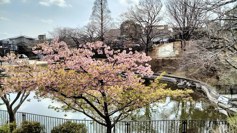 Tatsunodai Park