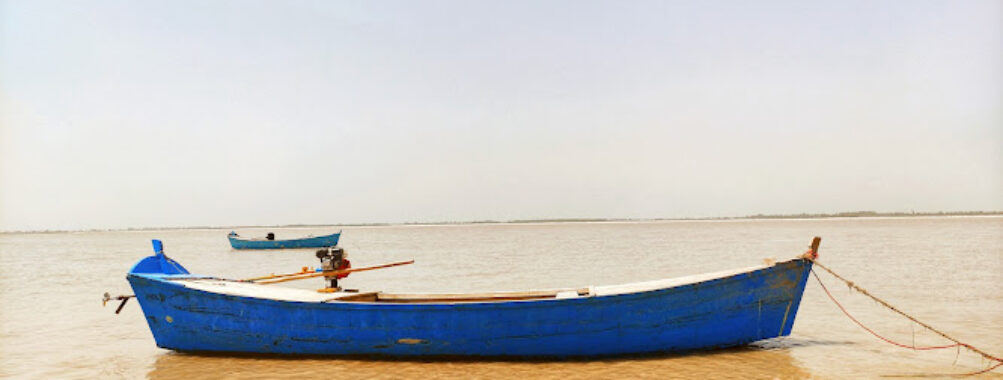 Taunsa Park Kot Addu Travel Forum Reviews