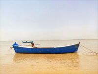Taunsa Park Kot Addu Travel Forum Reviews