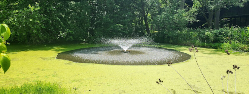 Tawes Garden Travel Forum Reviews