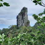 Te Rua Manga (The Needle)