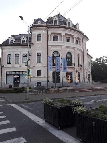 Teatrul Tineretului