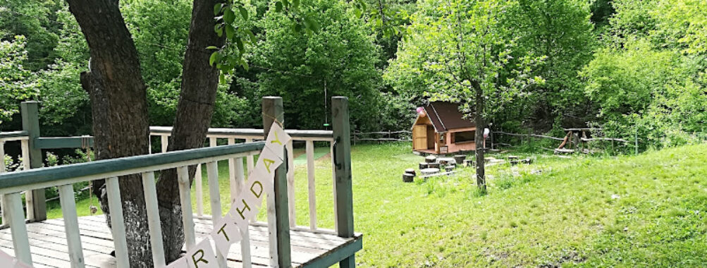 Teddy's house Travel Forum Reviews