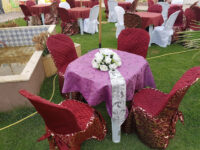 Tej Royal Travel Forum Reviews